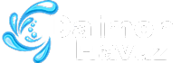 Daimon Yapı Kimyasalları İnş.Pet.Ür.Hayv.Nak.San.Ltd.Şti.